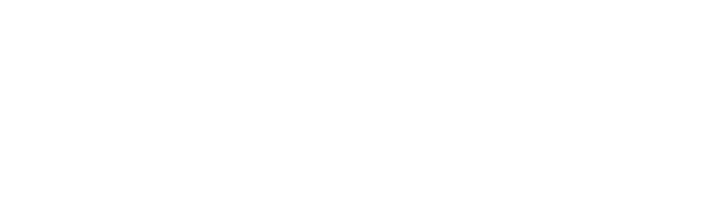Fun Noodle Bar Logo
