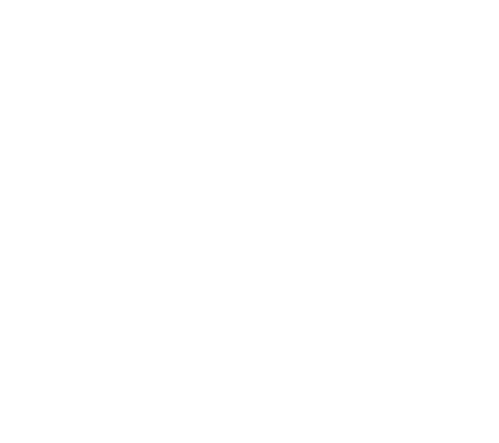 SYLK'S Logo