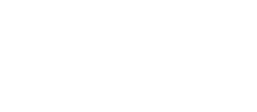 Ninja Sushi & Steak House Logo
