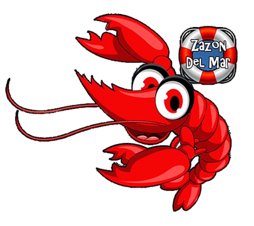 ZAZON DEL MAR Logo