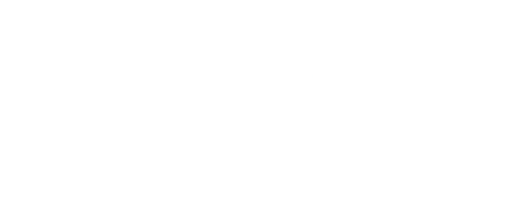 Great New York Pizza Logo