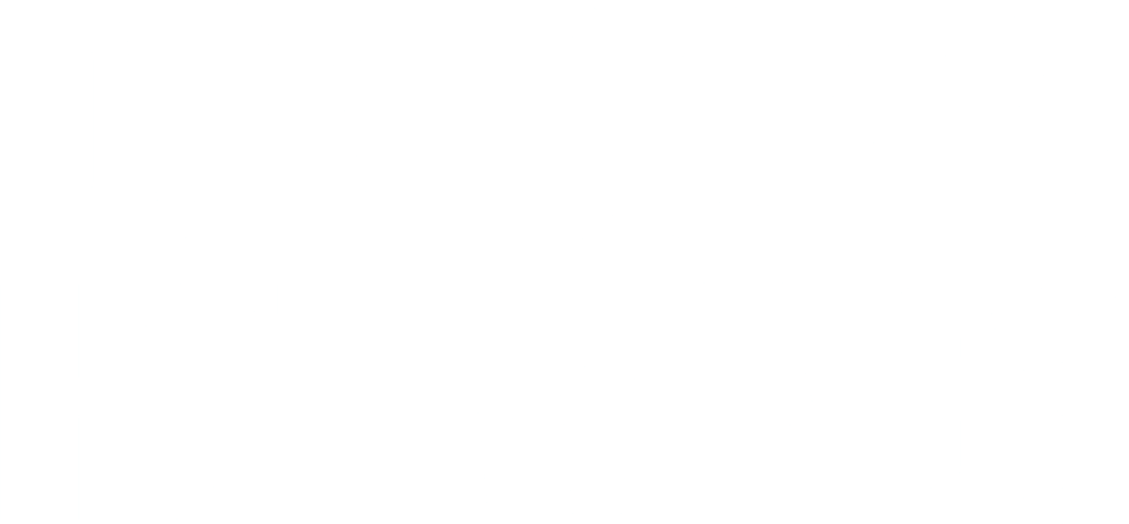 Don Don's Hot Wings Logo