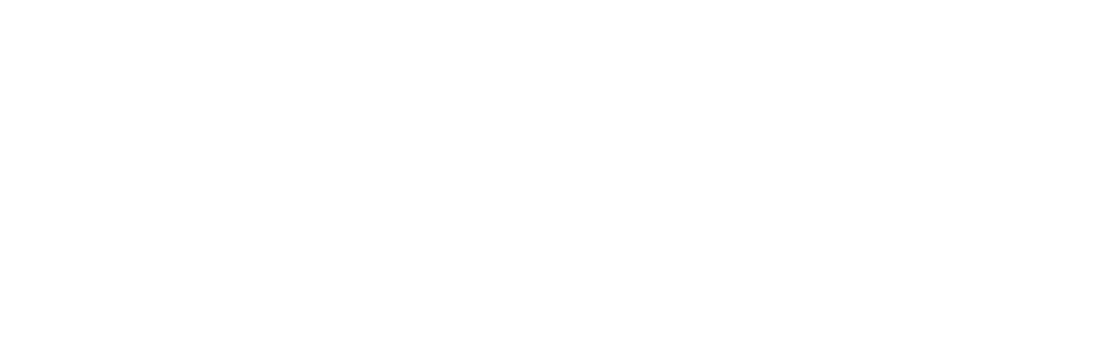 NEW YORK FRIED CHICKEN Logo
