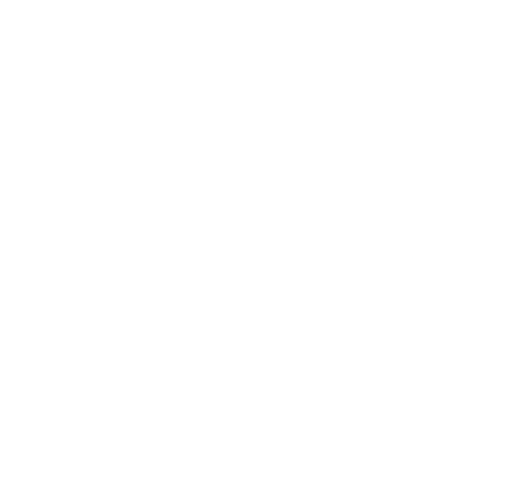 Nagoya Japanese Cuisine Logo