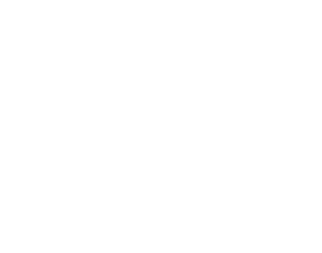 Chinese Phoenix Express Logo