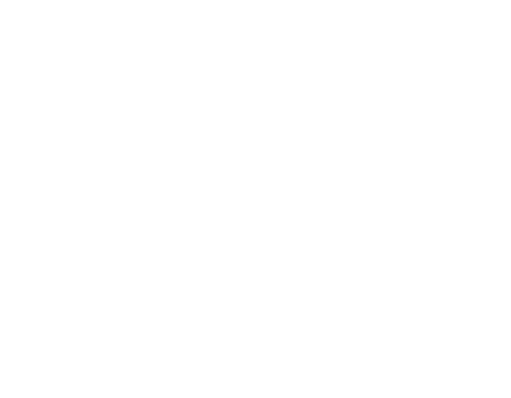 Naked Vegan Logo
