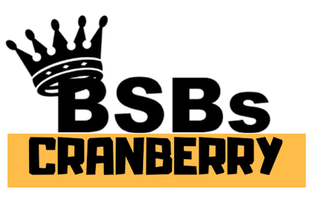 Big Shot Bob's House of Wings - Cranberry Logo