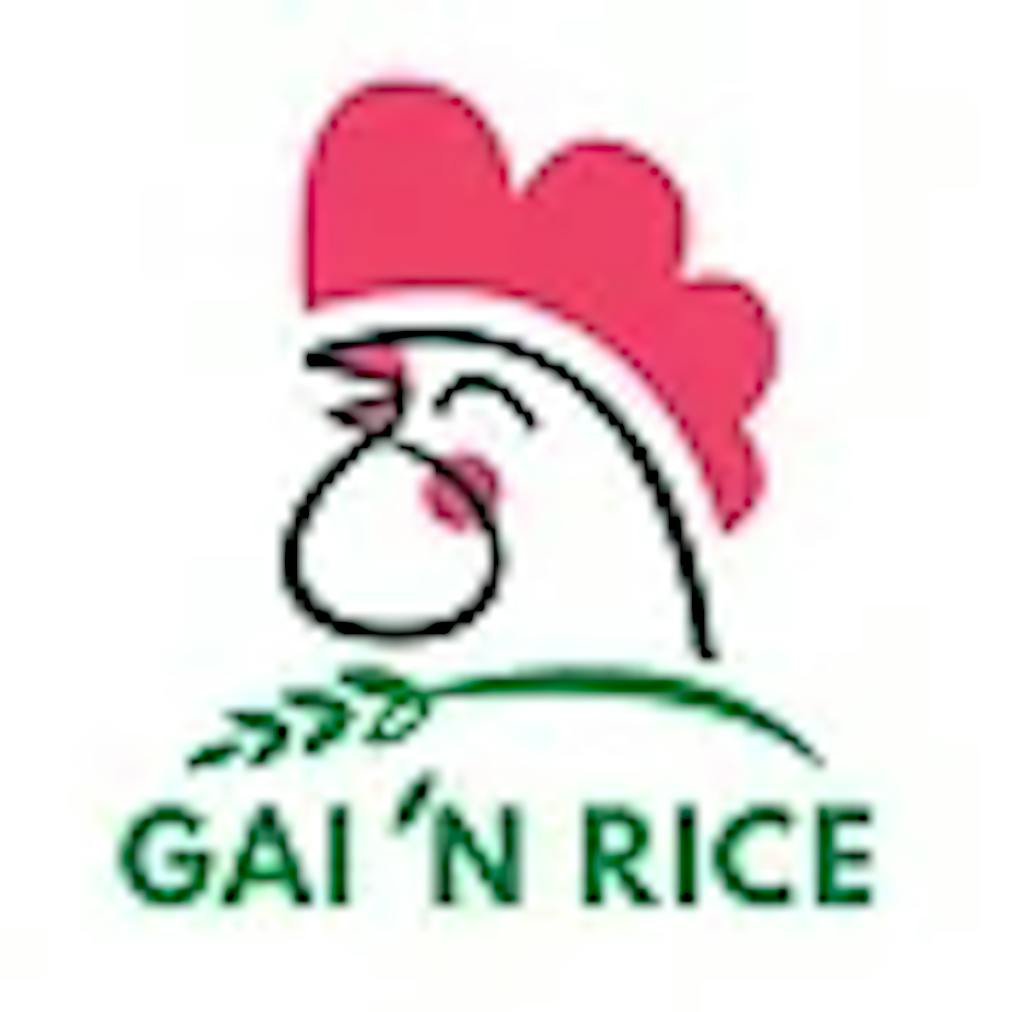 Gai N Rice  Logo