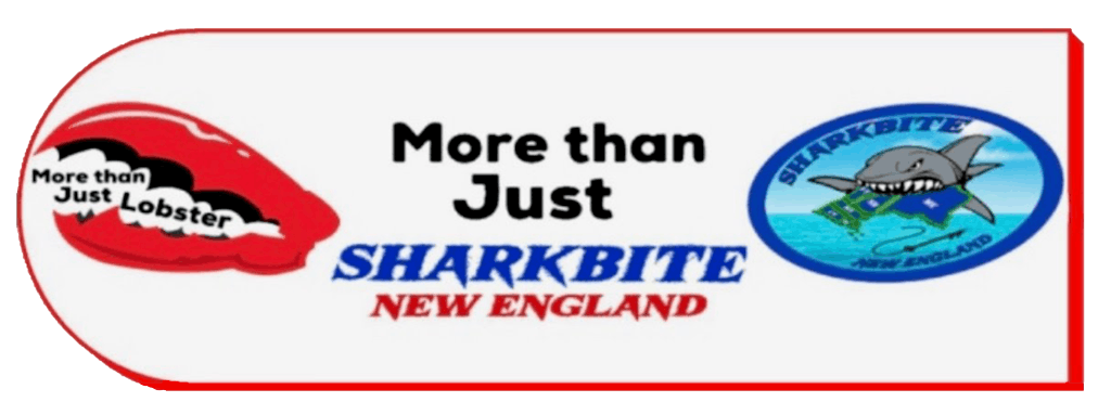 More Than Just Shark Bite Logo