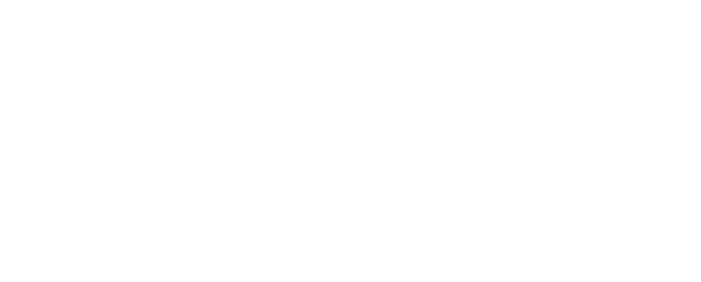 Texas Toms Fried Chicken and Sea Food Logo