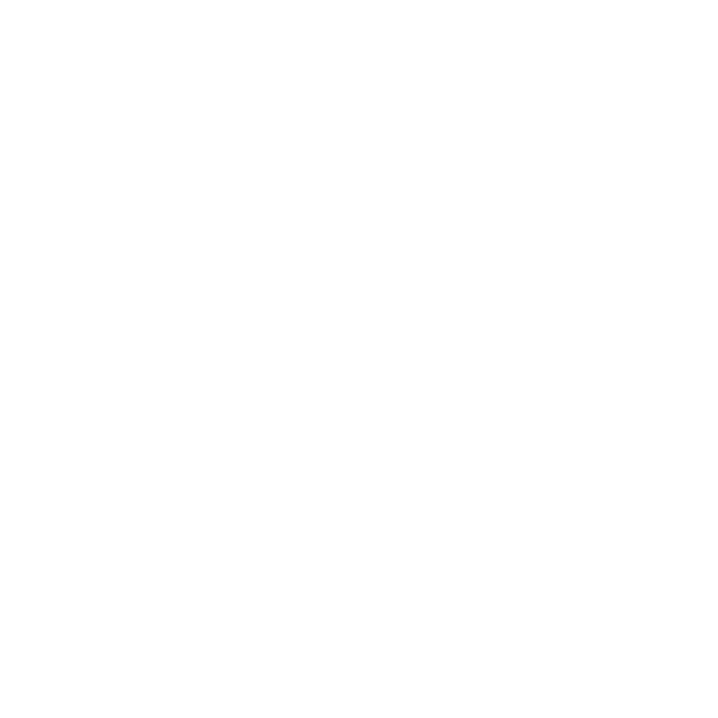 Turan Uyghur Kitchen Logo